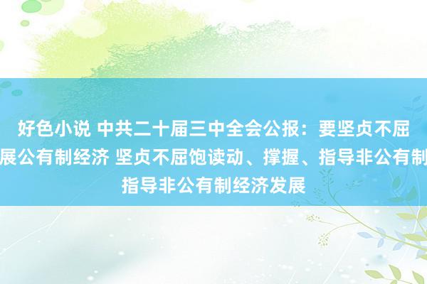 好色小说 中共二十届三中全会公报：要坚贞不屈牢固和发展公有制经济 坚贞不屈饱读动、撑握、指导非公有制经济发展