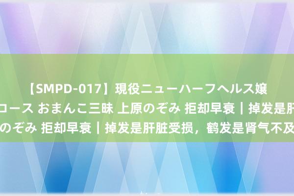 【SMPD-017】現役ニューハーフヘルス嬢 女だらけのスペシャルコース おまんこ三昧 上原のぞみ 拒却早衰|掉发是肝脏受损,鹤发是肾气不及