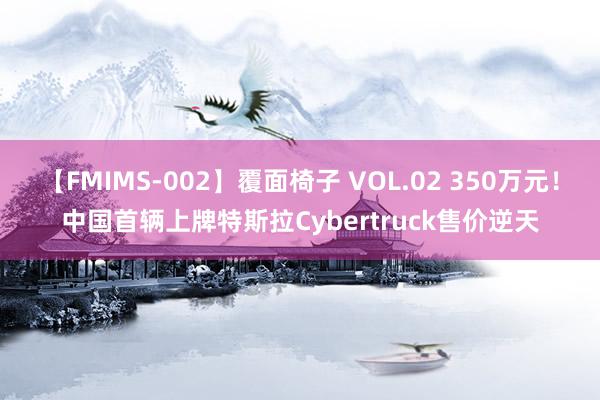 【FMIMS-002】覆面椅子 VOL.02 350万元！中国首辆上牌特斯拉Cybertruck售价逆天
