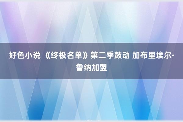 好色小说 《终极名单》第二季鼓动 加布里埃尔·鲁纳加盟