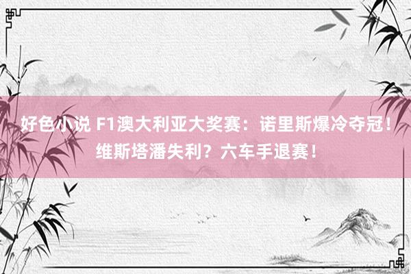 好色小说 F1澳大利亚大奖赛：诺里斯爆冷夺冠！维斯塔潘失利？六车手退赛！