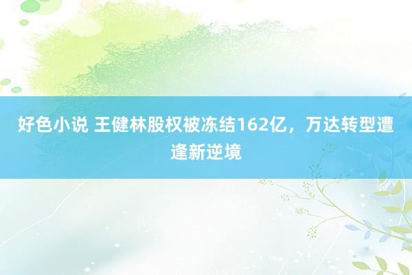 好色小说 王健林股权被冻结162亿，万达转型遭逢新逆境