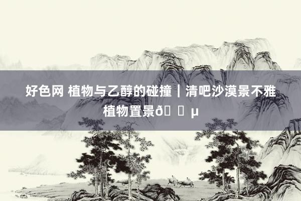 好色网 植物与乙醇的碰撞｜清吧沙漠景不雅植物置景🌵